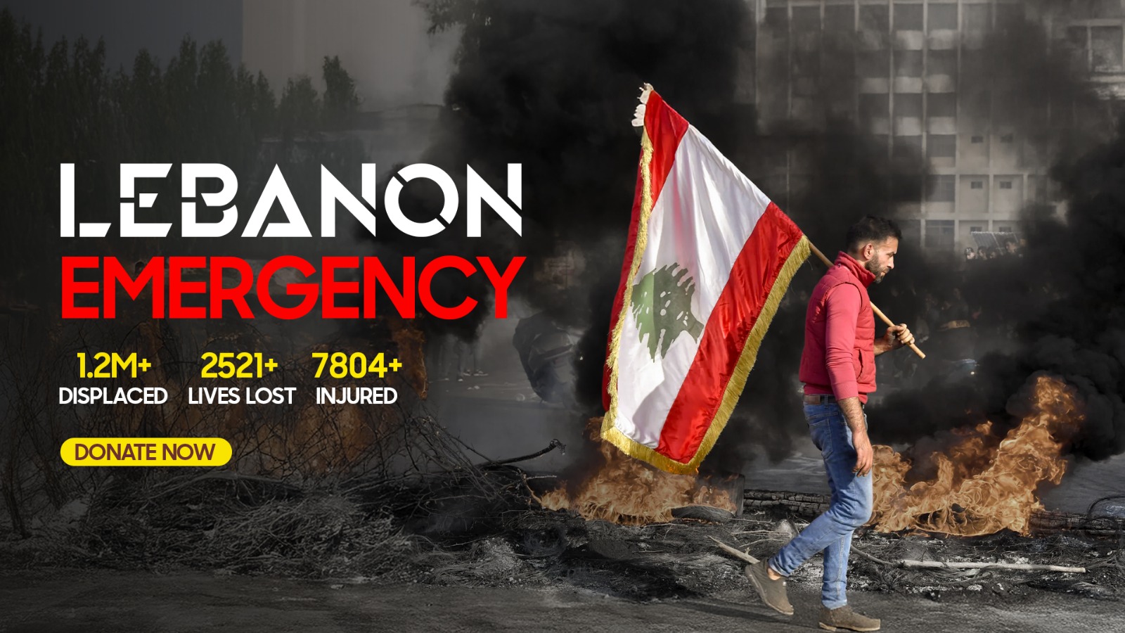 Lebanon Emergency Appeal